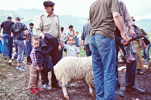 კადრზე შეჩერებული სისხლიანი ლომისობა და დედა სიდონიას გზა მონასტრისკენ Rating